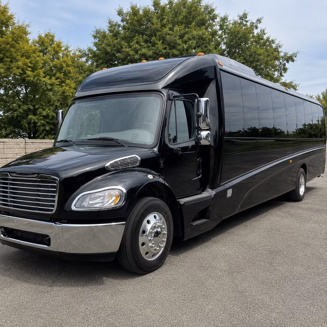 fresno birthday party transportation onboard seating